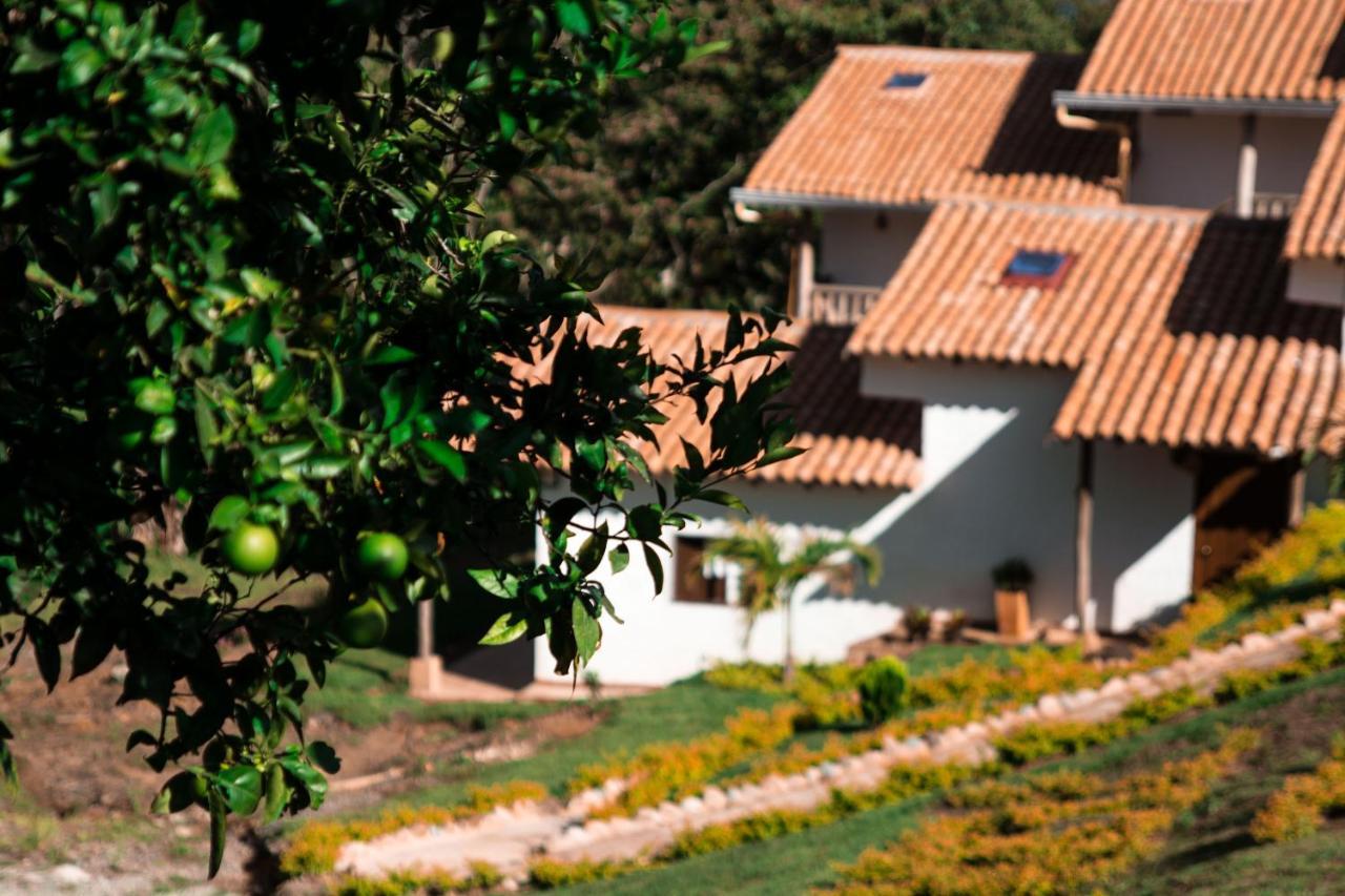 Terrazas De Guadalupe Otel Dış mekan fotoğraf